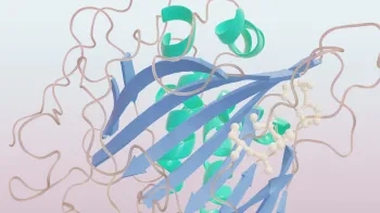 Illustration of enzymes